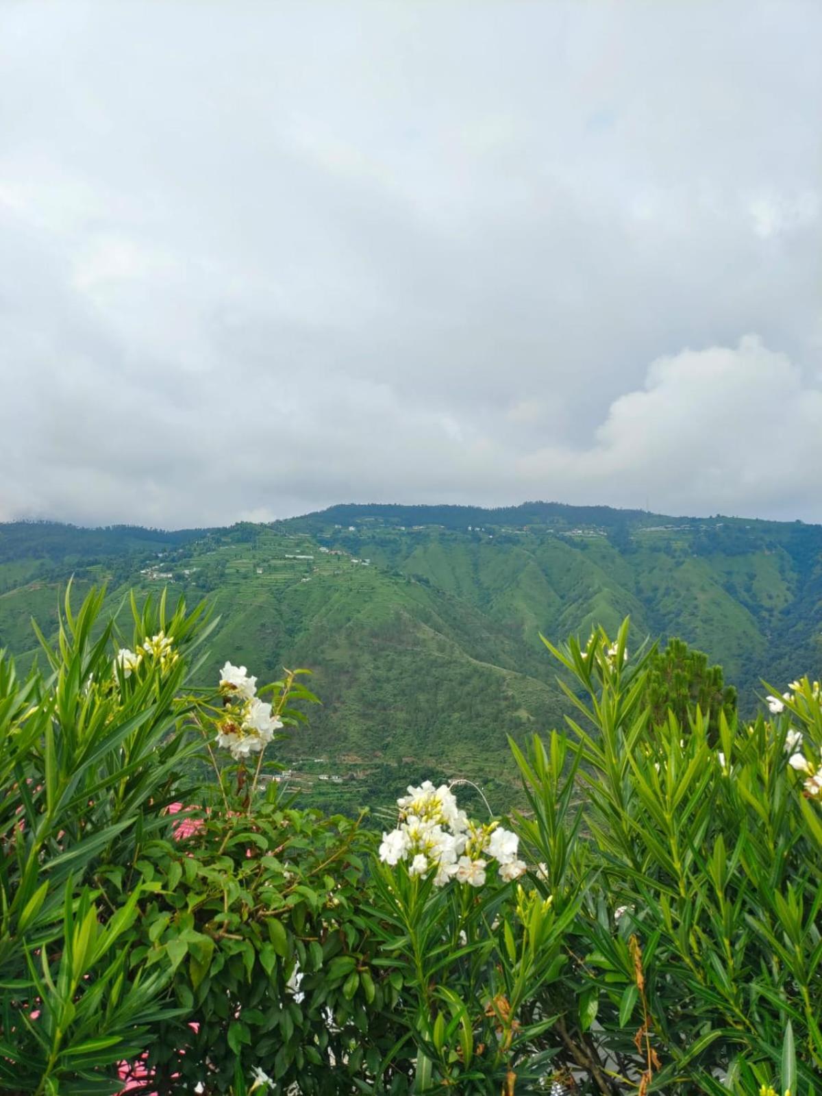 Little Heart Resort تشايل المظهر الخارجي الصورة